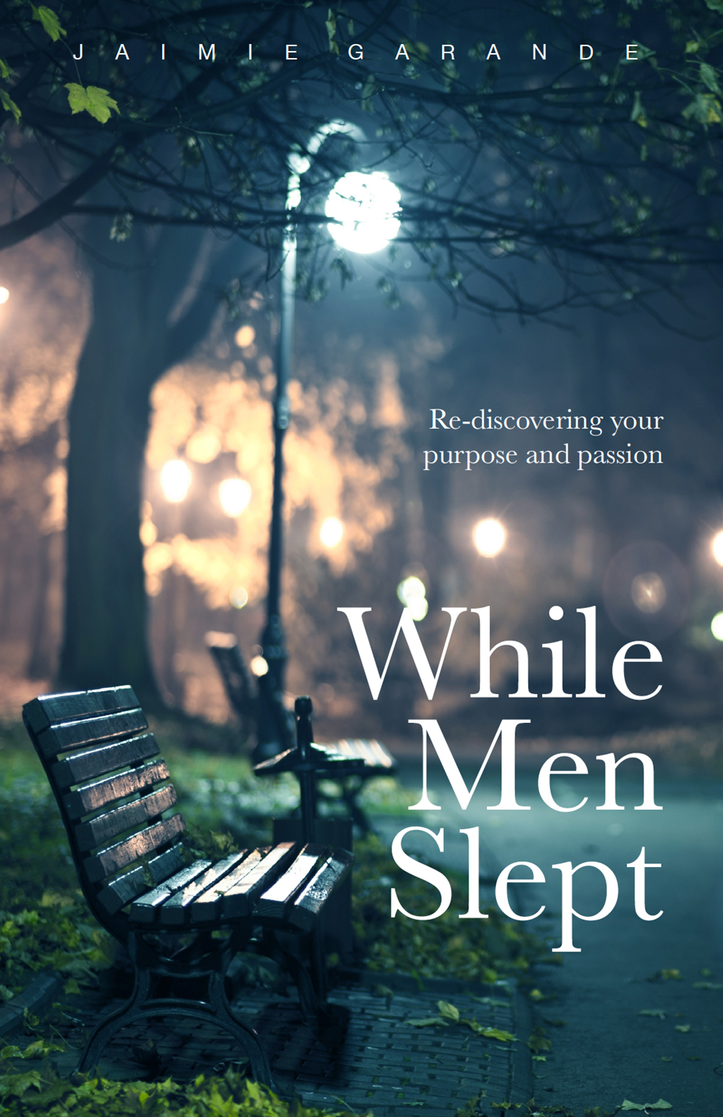 While Men Slept cover